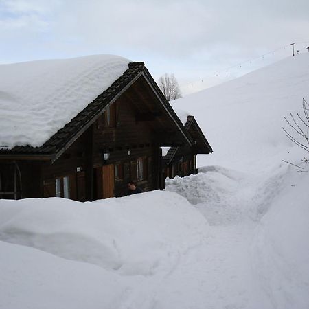 Ferienwohnungen Im Blockhaus Metzler Schwarzenberg im Bregenzerwald Exterior foto