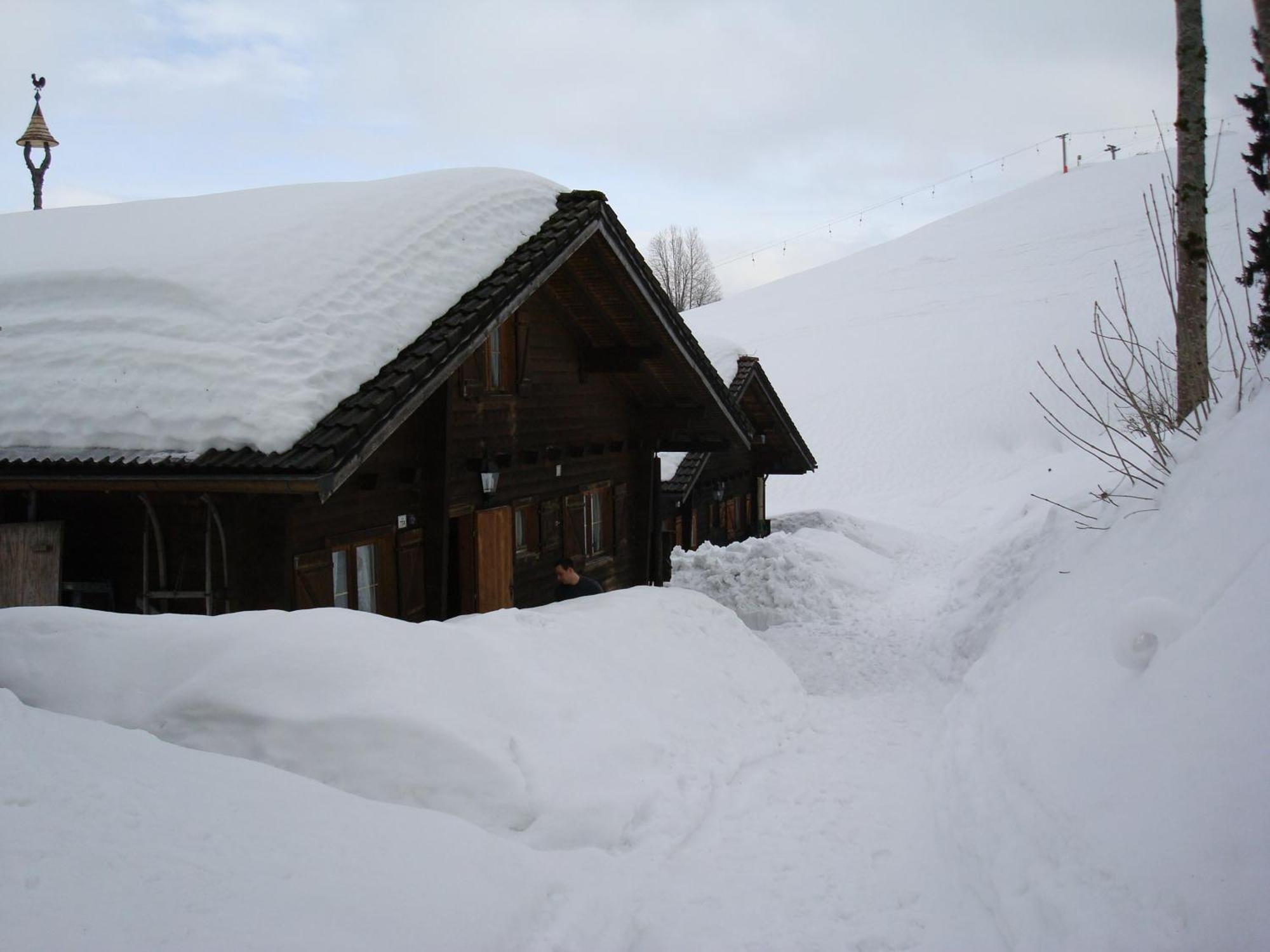 Ferienwohnungen Im Blockhaus Metzler Schwarzenberg im Bregenzerwald Exterior foto